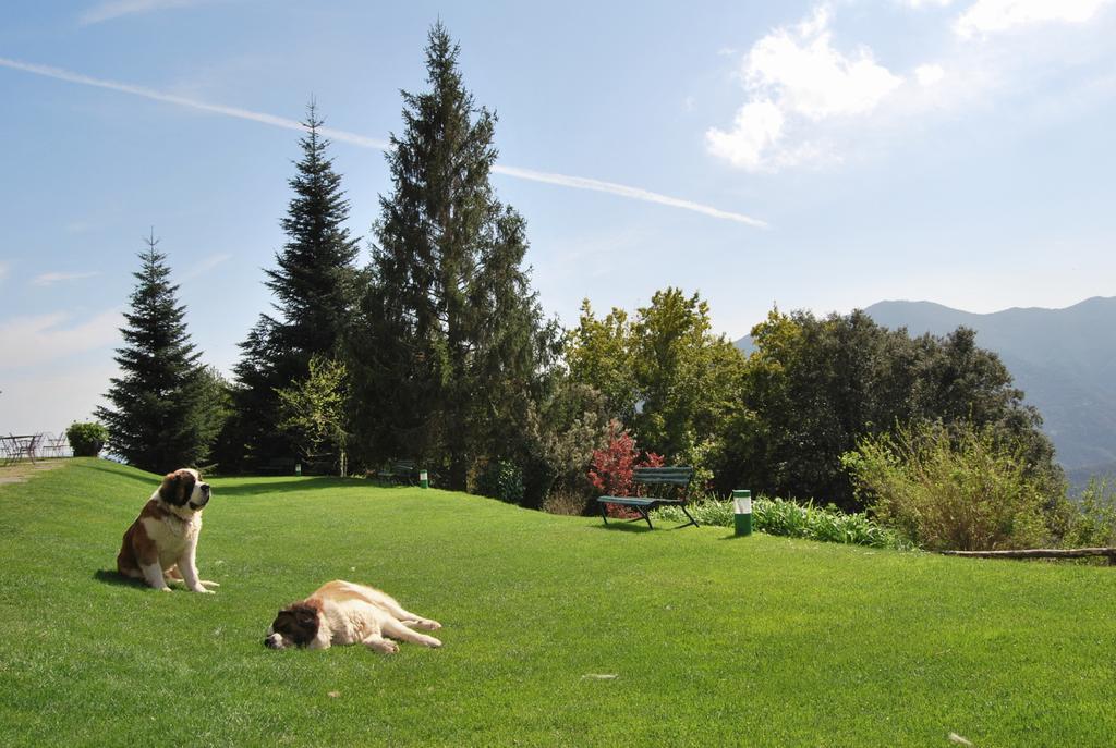 Husa Sant Bernat Montseny Pokój zdjęcie